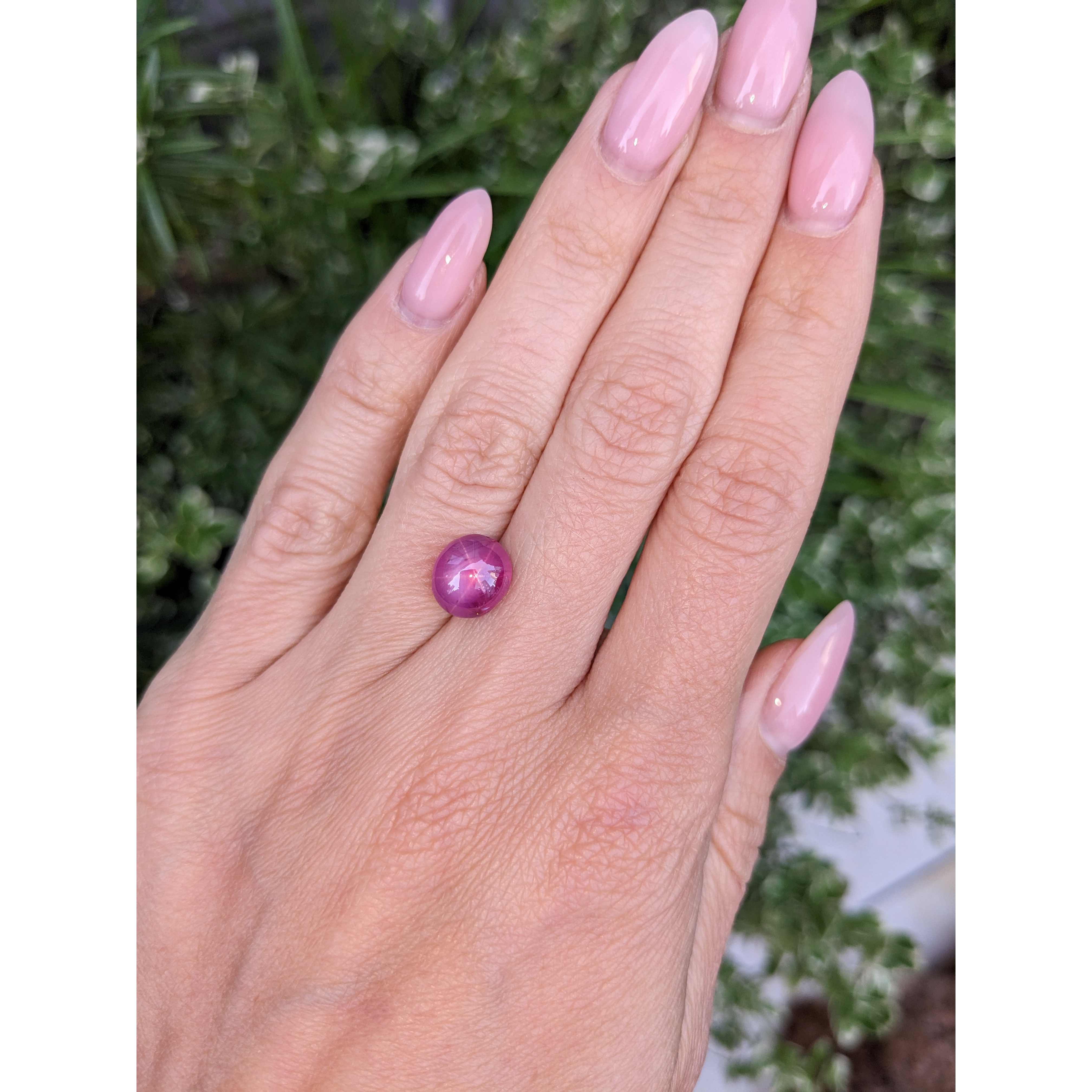 Loose Purplish Red Ruby - Oval 5.02 Ct. - #R14079 | The Natural