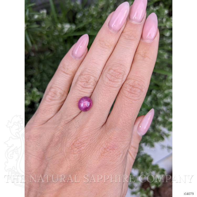 5.02 Ct. Star Ruby from Mozambique