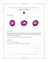 12.65 Ct. Star Ruby from Mozambique Appraisal