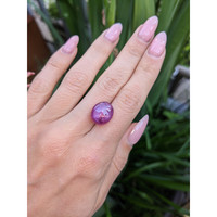 12.65 Ct. Star Ruby from Mozambique Life Style