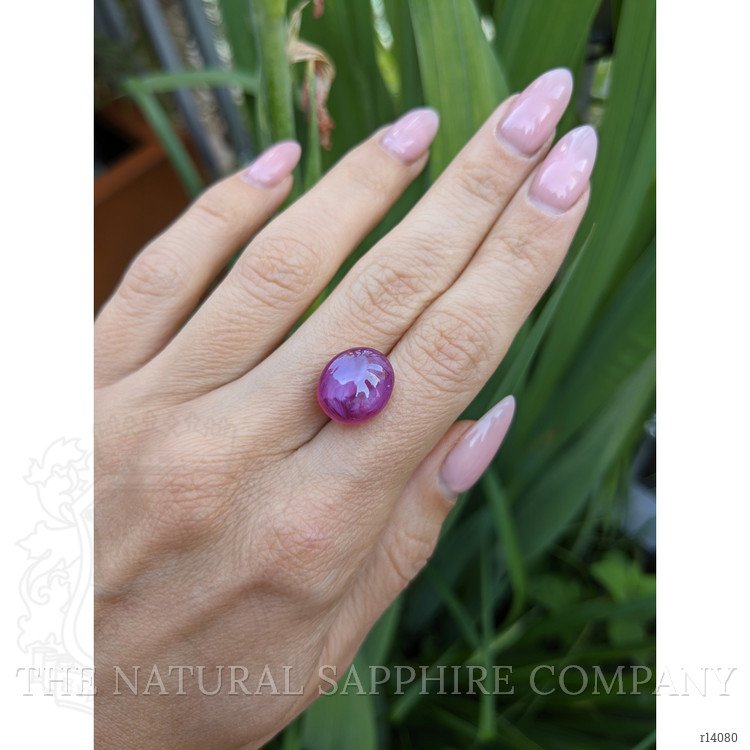 12.65 Ct. Star Ruby from Mozambique