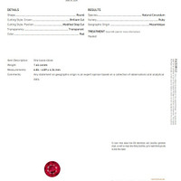 Jewelry Scan Report