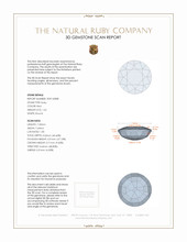 Jewelry 3 D Scan Report