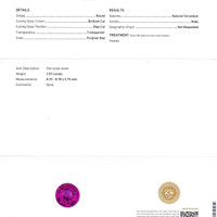 Jewelry Scan Report