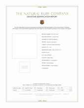 Jewelry Scan Report