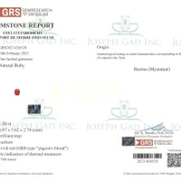 Jewelry Scan Report