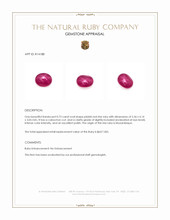 0.73 Ct. Star Ruby from Mozambique Appraisal