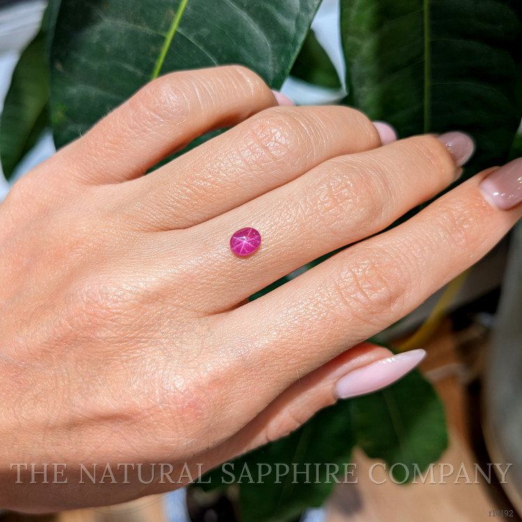 0.69 Ct. Star Ruby from Mozambique