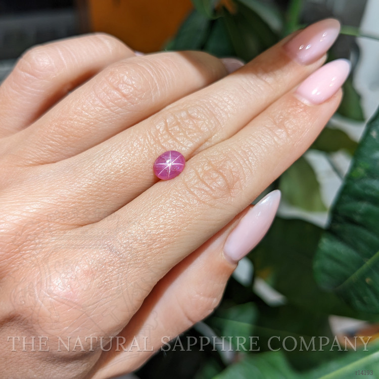 1.60 Ct. Star Ruby from Mozambique