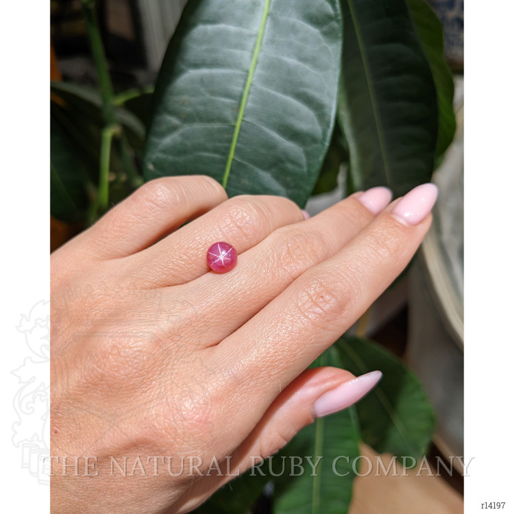 2.60 Ct. Star Ruby from Mozambique