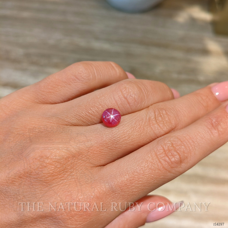 2.60 Ct. Star Ruby from Mozambique