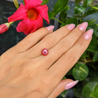 2.60 Ct. Star Ruby from Mozambique Life Style
