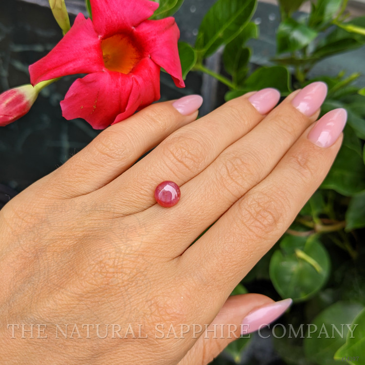 2.60 Ct. Star Ruby from Mozambique