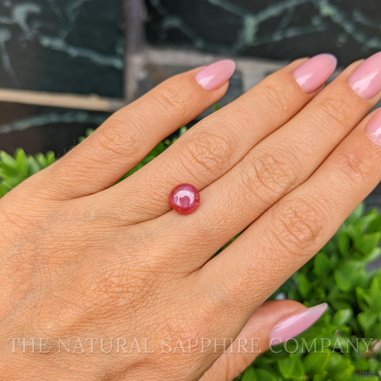 2.60 Ct. Star Ruby from Mozambique