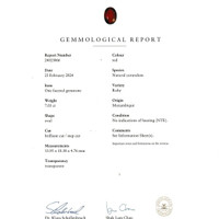 7.03 Ct. Ruby from Mozambique Scan Report