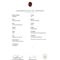7.03 Ct. Ruby from Mozambique Scan Report