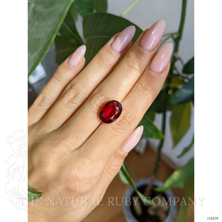 7.03 Ct. Ruby from Mozambique