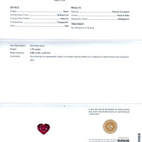 Jewelry Scan Report