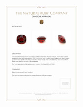 3.59 Ct. Ruby from Mozambique Appraisal