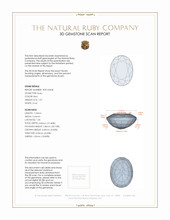 Jewelry 3 D Scan Report