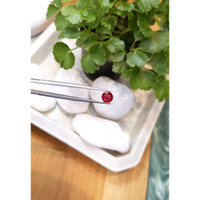 2.22 Ct. Ruby from Mozambique Life Style