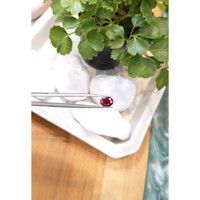 3.01 Ct. Ruby from Mozambique Life Style