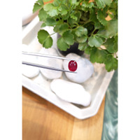 3.46 Ct. Ruby from Mozambique Life Style