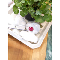 3.55 Ct. Ruby from Mozambique Life Style