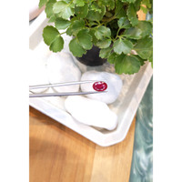 5.30 Ct. Ruby from Mozambique Life Style