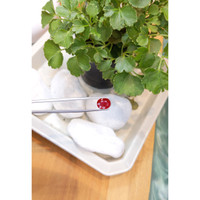 3.09 Ct. Ruby from Mozambique Life Style