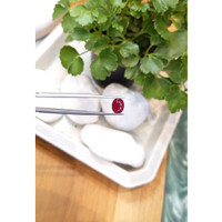 2.45 Ct. Ruby from Mozambique Life Style