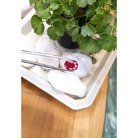 5.77 Ct. Ruby from Mozambique Life Style