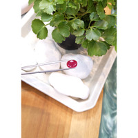 6.57 Ct. Ruby from Mozambique Life Style