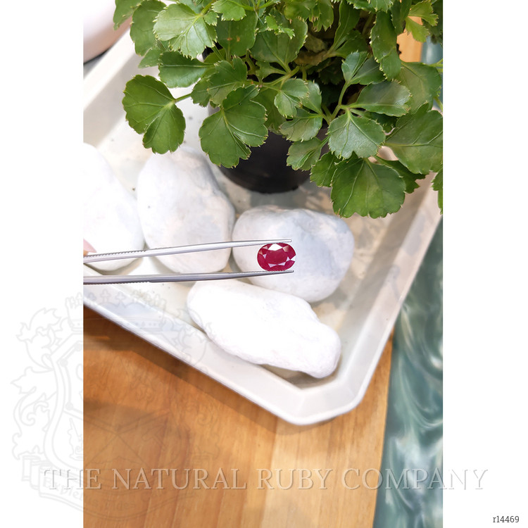 6.19 Ct. Ruby from Mozambique