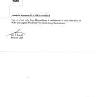 4.00 Ct. Ruby from Mozambique Scan Report