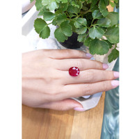 10.46 Ct. Ruby from Mozambique Life Style