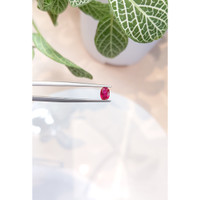 0.56 Ct. Ruby from Burma (Myanmar) Life Style