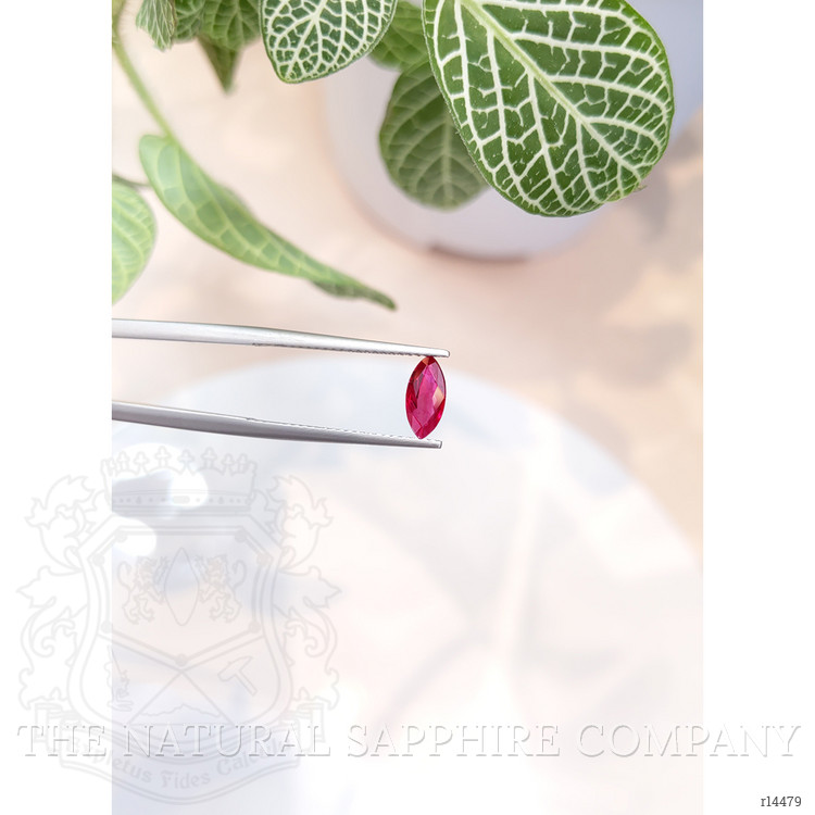 0.65 Ct. Ruby from Burma (Myanmar)
