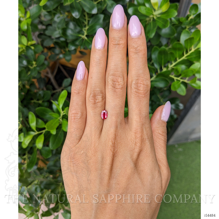 0.75 Ct. Ruby from Thailand