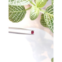 0.40 Ct. Ruby from Mozambique Life Style
