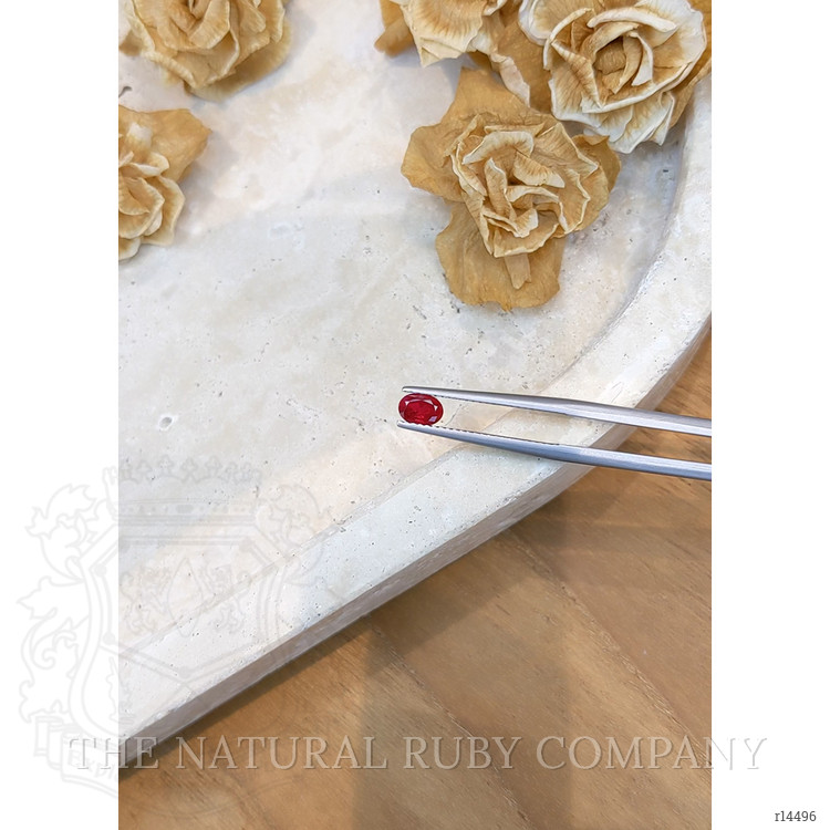 0.60 Ct. Ruby from Mozambique