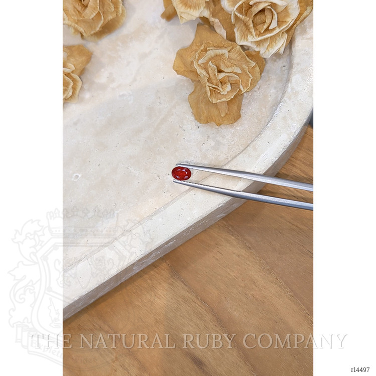 0.73 Ct. Ruby from Mozambique