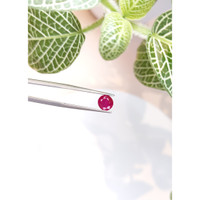 1.69 Ct. Ruby from Burma (Myanmar) Life Style