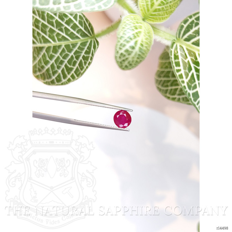 1.69 Ct. Ruby from Burma (Myanmar)