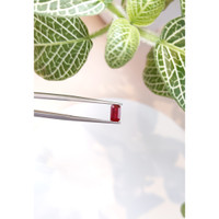 1.12 Ct. Ruby from Burma (Myanmar) Life Style