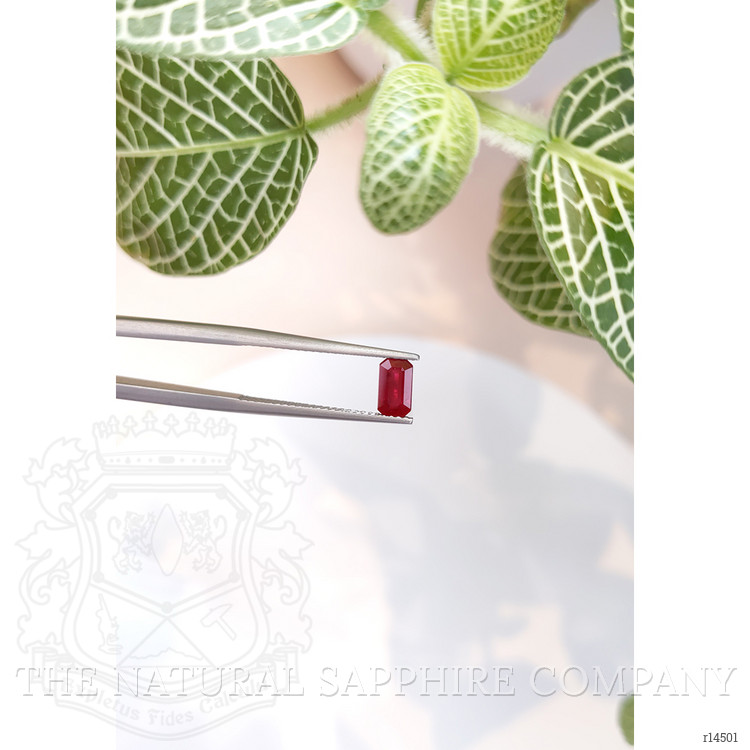 1.12 Ct. Ruby from Burma (Myanmar)