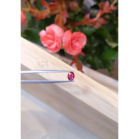 0.67 Ct. Ruby from Mozambique Life Style
