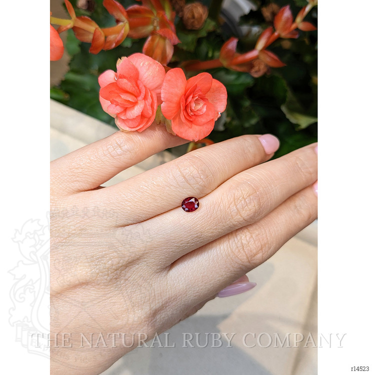 0.62 Ct. Ruby from Mozambique