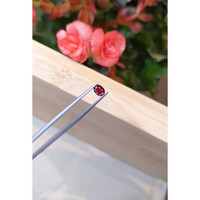 0.60 Ct. Ruby from Mozambique Life Style