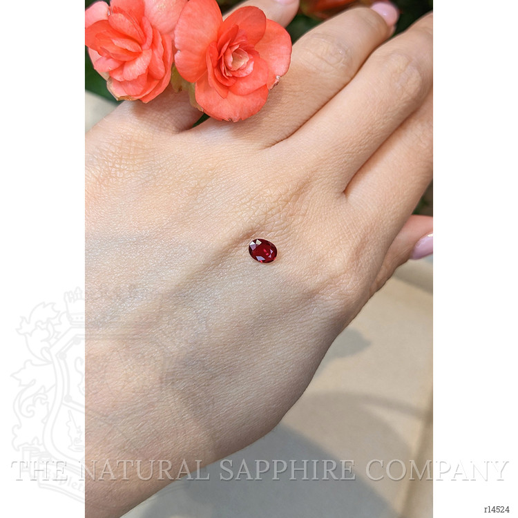 0.60 Ct. Ruby from Mozambique